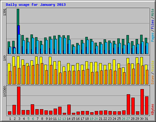 Daily usage for January 2013
