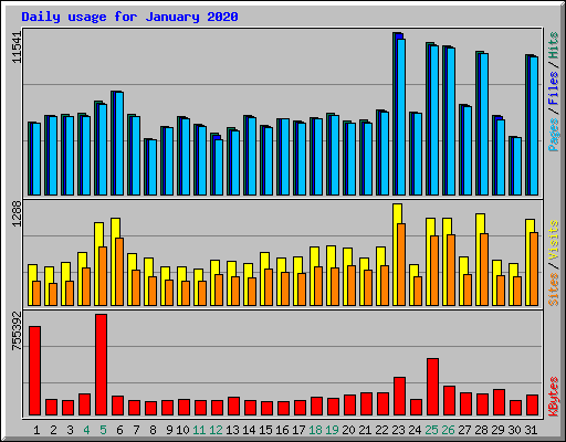 Daily usage for January 2020