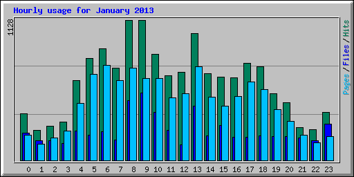 Hourly usage for January 2013