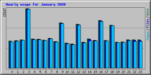 Hourly usage for January 2020
