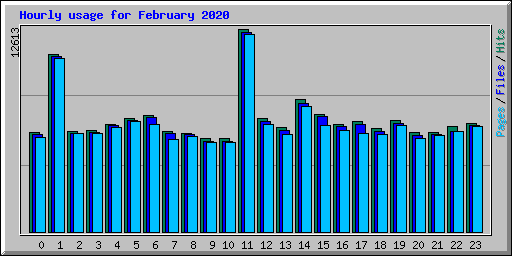 Hourly usage for February 2020