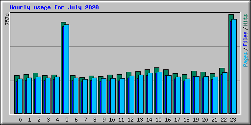 Hourly usage for July 2020