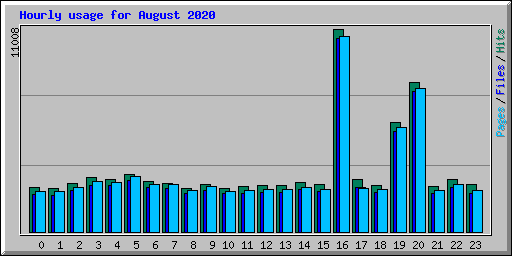 Hourly usage for August 2020